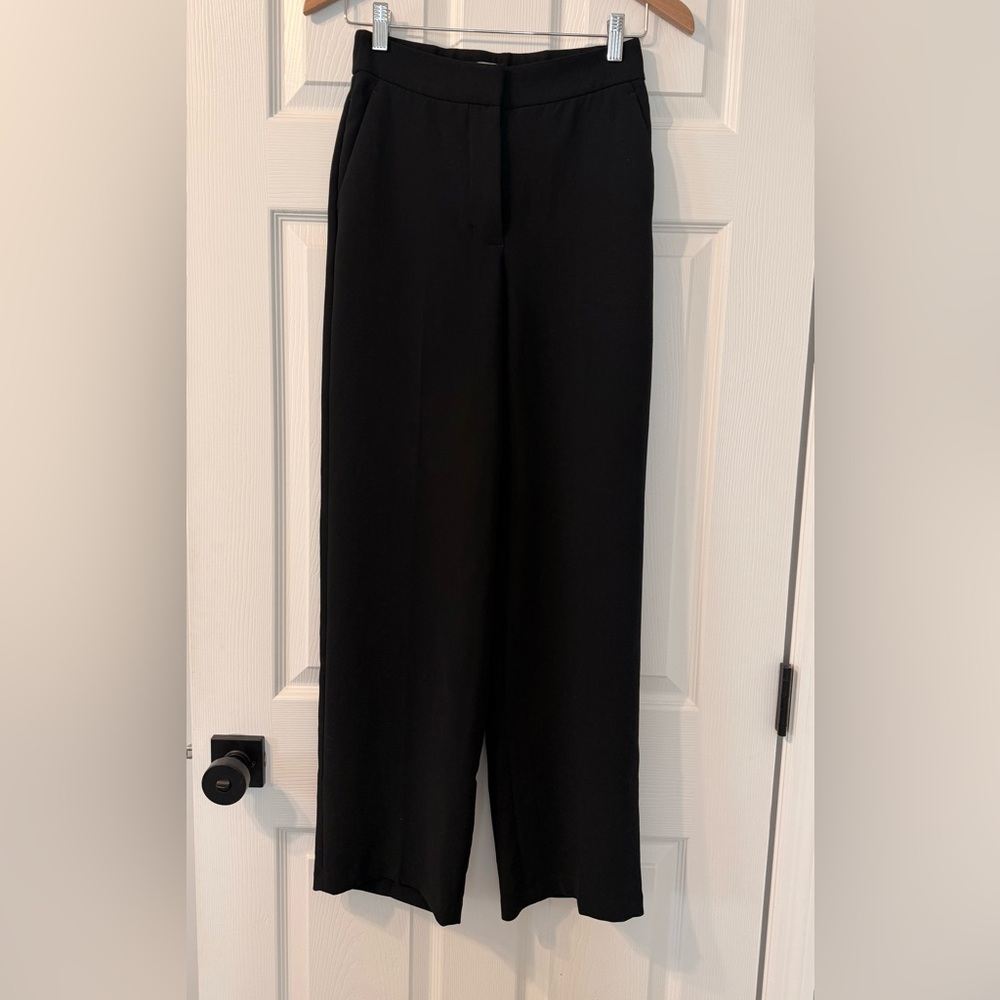 Aritzia The Limitless Pant Crepette